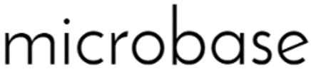 マイクロベース株式会社​　logo