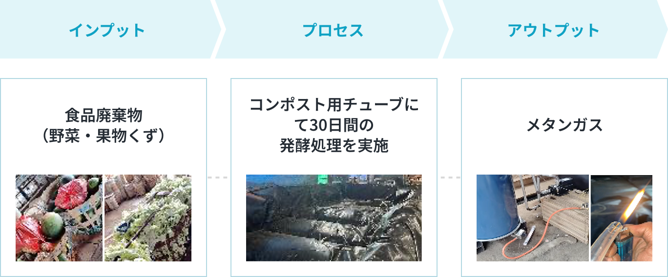 実証内容