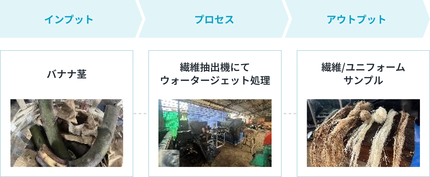 実証内容